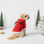 Toutou Noël - Pull de Noël Wafter et Companie