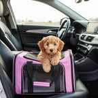 Le cocon - Le sac de transport Wafter et Companie