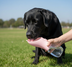 La pratique - La gourde simple Wafter et Companie