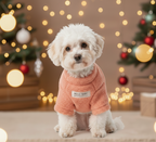 Brume de Neige - Pull d'Hiver Wafter et Compagnie