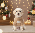 Brume de Neige - Pull d'Hiver Wafter et Compagnie