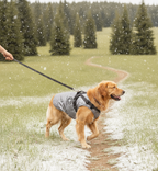 Harnais d'Hiver - Veste chaude et imperméable Wafter et Companie